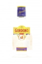 Gordon's London Dry Gin - 20cl