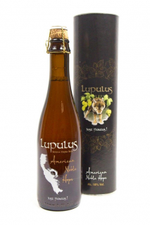 Lupulus Lupulus American Noble Hops - Acedrinks