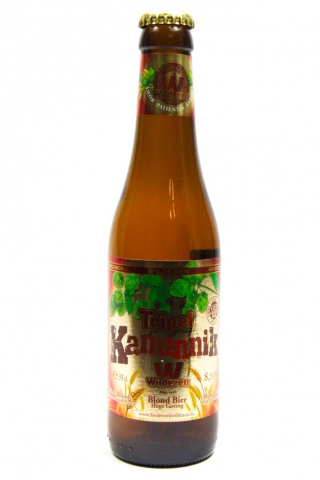 24731 Tripel Kanunnik